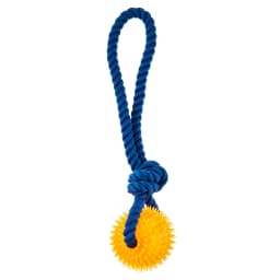 Vibrant Life Playful Buddy Rope w TPR Spikey Ball Dog Tug Toy - Thumbnail 1