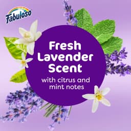 (2 pack) Fabuloso 2X Multi-Purpose Cleaner, No Rinse Floor Cleaner, Lavender Scent, 16.9 fl oz - Thumbnail 5
