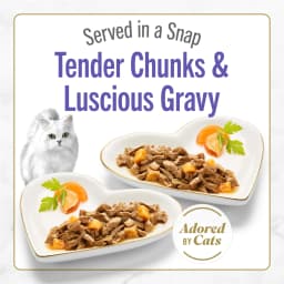 Purina Fancy Feast Petites With Roasted Turkey Entrée with Sweet Potato in Gravy Gourmet Wet Cat Food Pate - Thumbnail 2