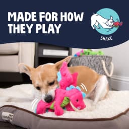goDog Dragons Squeaky Plush Dog Toy, Chew Guard Technology, Pink, Small - Thumbnail 5