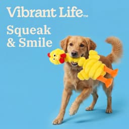 Vibrant Life Yellow Long Neck Chicken Plush Dog Toy with Squeaker, Chew Level 3 - Thumbnail 4