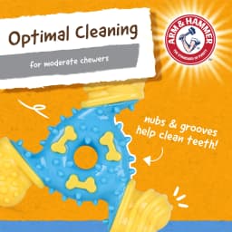 Arm & Hammer Nubbies TriOBone Durable Dental Dog Chew Toy - Thumbnail 3