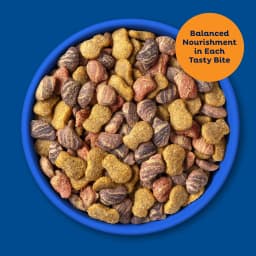 9Lives Daily Essentials Dry Cat Food for Adult Cats with Chicken, Beef & Salmon, 28 lb. Bag - Thumbnail 4