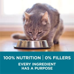 Purina ONE Tender Selects Blend With Real Chicken Digestive Natural Dry Cat Food, 3.5 lb, 4 Pack - Thumbnail 8