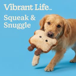 Vibrant Life Brown Toast Plush Dog Toy with Squeaker, Chew Level 1 - Thumbnail 4