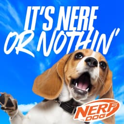 Nerf Dog Chew & Tug Toys 2 Pack, Chew Stick and 3-Ring Tug Toy - Thumbnail 9