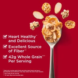 Oatmeal Crisp Heart Healthy Cereal, High Fiber Cereal Made with Whole Grain, 19.7 oz - Thumbnail 3
