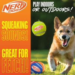 Nerf Dog 2.5 inch Squeak Tennis Ball Toy - 4 Pack - Thumbnail 5