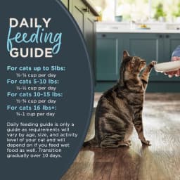 Reveal Pet Food Natural Dry Cat Food, Complete & Balanced Grain Free, Whitefish Flavor, 3lb Bag - Thumbnail 5