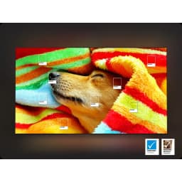 Samsung 55 inch OLED 4K S95F Vision AI Smart TV (2025) - Thumbnail 7
