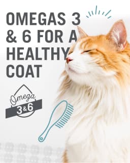 "I and love and you" Wet Cat Food Variety Pack; Chicky-Da-Lish, Salmon Chanted Evening, Tuna Fintastic - Thumbnail 6