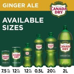Canada Dry Ginger Ale, 12 Fl Oz, 12 Count - Thumbnail 3