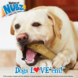 Nylabone Nubz Natural Dog Treats for Large Dogs, Beef Flavor Dog Bones, X-Large - 50+ lbs., 6.7 oz Pack, 1 Count - Thumbnail 5