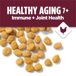 Purina Cat Chow Healthy Aging 7+ Senior Dry Cat Food, Chicken, 3.15 lb. Bag - Thumbnail 3