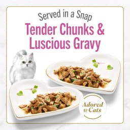 Purina Fancy Feast Petites Seared Salmon Entree with Spinach in Gravy Wet Cat Food, 2.8 oz, 12 Pack - Thumbnail 2