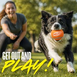 Nerf Dog 2.5 inch Squeak Tennis Ball Toy - 4 Pack - Thumbnail 6