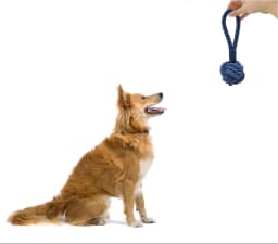 Pack of 3 Durable Rope Ball Toys for Dog Natural Tug Tough Durable Fetch Chew Teeth Interactive Play - Thumbnail 8