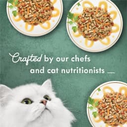 Purina Fancy Feast Wet Cat Food Variety Pack Medleys Primavera Collection - (12) 3 oz. Cans, 12 Pack - Thumbnail 5