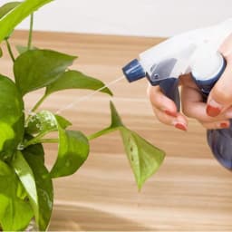Press Type Refillable Spray Bottle Rotary Nozzle Adjustable Water Bottle Sprayer For Water Kitchen Bath Watering Flowers - Thumbnail 5