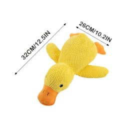 Chew-Proof Squeaky Plush Toy For Dogs & Cats,Pet Plush Chew Toy,Pet Toys for Self Play,Gifts for Pets and Pet Lovers(B) - Thumbnail 2