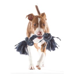 Mammoth Flossy Chews Cottonblend Denim 4 Knot Tug Rope Dog Toy , Large, 27" - Thumbnail 2