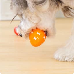 Soft Bouncing Egg Dog Toy with Squeaker, Easter Egg Design Interactive Puppy Toy for Small Dogs, Indoor Outdoor Throw & Play Pet Toy - Thumbnail 8