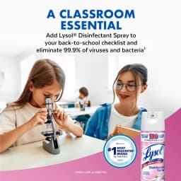 Lysol Disinfectant Spray, Sanitizing and Antibacterial Spray, Deodorizer, Early Morning Breeze, 19 oz (Pack of 2) - Thumbnail 9