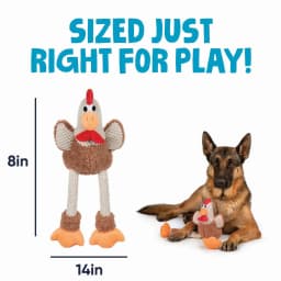 goDog Farm Friends Rooster Plush Toy for Dogs with Chew Guard Technology for Stronger & Longer Play, Soft & Durable, Built-In Squeaker, Brown, Medium - Thumbnail 3