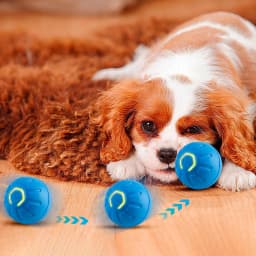 Pcksrro Pet Toys Indoor Interactive Pet Toys Automatic Mobile Pet Toy USB Rechargeable Smart Toy Two Speed Adjustable With Tail - Thumbnail 5