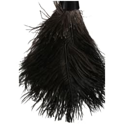 EverClean Ostrich Feather Duster - Thumbnail 4
