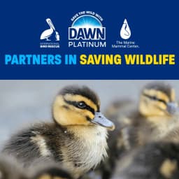 Dawn Platinum Dish Soap, Dishwashing Soap, Fresh Rain, 30 fl oz - Thumbnail 4