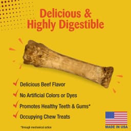 Nylabone Nubz Natural Dog Treats for Large Dogs, Beef Flavor Dog Bones, X-Large - 50+ lbs., 6.7 oz Pack, 1 Count - Thumbnail 4
