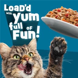 Friskies Fully Load’d Chicken, Salmon, & Tuna Flavor Chunks Wet Cat Food Variety Pack, 5.5 oz. Cans (12 Pack) - Thumbnail 4