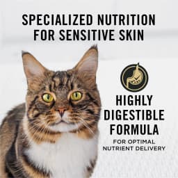 Purina Pro Plan Cat Food Sensitive Skin and Stomach Lamb and Rice Dry Formula - Thumbnail 4