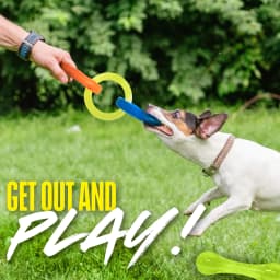 Nerf Dog Chew & Tug Toys 2 Pack, Chew Stick and 3-Ring Tug Toy - Thumbnail 4