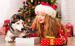 Aelflane Dog Toys for Aggressive Chewers, Dog Chew Toys,Indestructible Dog Toys for Large Breed, Bacon Flavored - Thumbnail 5