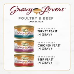 Purina Fancy Feast Gravy Lovers Food, Wet Cat Food Collection, 3 oz Cans, 24 Pack - Thumbnail 4