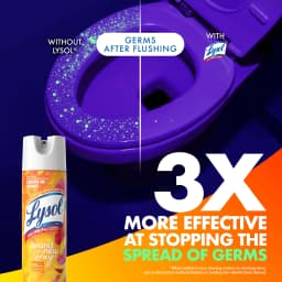 Lysol Brand New Day Disinfectant Spray, Sanitizing and Antibacterial Spray, Deodorizer, Mango & Hibiscus, 19 oz - Thumbnail 3