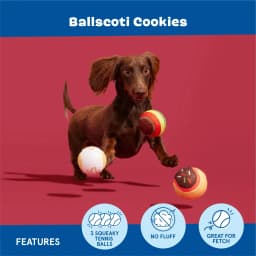 BARK Ballscoti Cookies Multi-Color Italian Cookies Squeaky Tennis Ball Dog Toy - Thumbnail 4