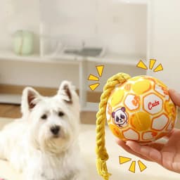 Partheme Novelty Toys Squeaky Dog Toy, 6" Wear-Resistant Fabric Chew Fish Toy, Teething Relief Self-Play Pet Toys for Interactive Play, Boredom - Thumbnail 6