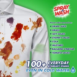 Spray 'n Wash Pre-Treatment Laundry Stain Remover Solution Spray, 22oz - Thumbnail 3