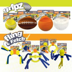 Nylabone Power Play Crazy-Ball Dog Toy, Dog Balls, Interactive Dog Toys, Large - Thumbnail 6