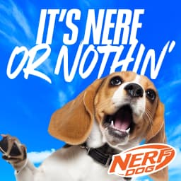 Nerf Dog Launcher Ball 3-Pack with 1 Solid Tuff, 1 Glow Ball & 1 LED Ball, 2.5 inch - Thumbnail 10