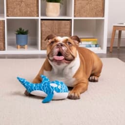 TrustyPup Silent Swimmer with Chew Guard Dog Toy - Silent Squeaker - Thumbnail 1