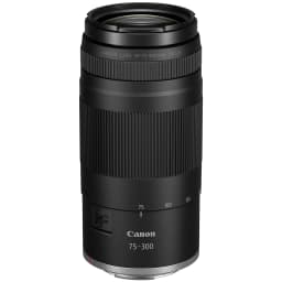 Canon EOS R100 CAM Double Zoom Lens Kit w/RF-S18-45/RF75-300mm - Thumbnail 8