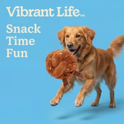 Vibrant Life Brown Pretzel Plush Dog Toy with Squeaker, Chew Level 1 - Thumbnail 4