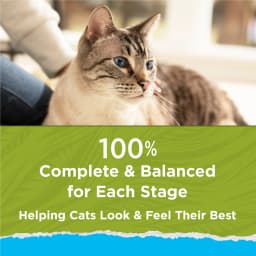 Purina Cat Chow Naturals, Indoor Dry Cat Food, Chicken & Turkey, 3.15 lb Bag - Thumbnail 8