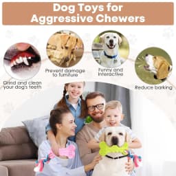 Syenll 2 Pack Dog Chew Toys, Rubber Puppy Teething Toys with Rope, Interactive Treat Set for Small Dogs Pets, Pink+Green - Thumbnail 4
