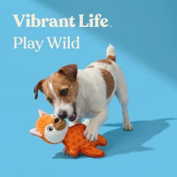 Vibrant Life Orange Fox Plush Dog Toy with Squeaker, Chew Level 4 - Thumbnail 4