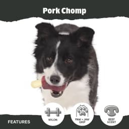 BARK Box Pork Chomp Nylon Chew Dog Toy, Pork Scent, For Large Dogs 50+ lbs - Thumbnail 4